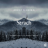 Audiokniha Strach  - autor Jozef Karika   - interpret Ondřej Novák