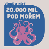 Audiokniha Dvacet tisíc mil pod mořem  - autor Jules Verne;Ondřej Neff   - interpret Martin Preiss
