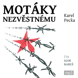 Audiokniha Motáky nezvěstnému  - autor Karel Pecka   - interpret Igor Bareš