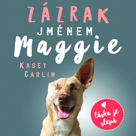 Audiokniha Zázrak jménem Maggie  - autor Kasey Carlin   - interpret skupina hercov