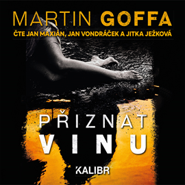 Audiokniha Přiznat vinu  - autor Martin Goffa   - interpret skupina hercov