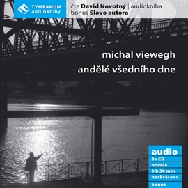 Audiokniha Andělé všedního dne  - autor Michal Viewegh   - interpret David Novotný