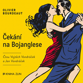 Audiokniha Čekání na Bojanglese  - autor Olivier Bourdeaut   - interpret skupina hercov