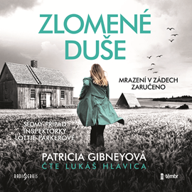 Audiokniha Zlomené duše  - autor Patricia Gibneyová   - interpret Lukáš Hlavica