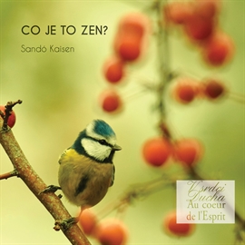 Audiokniha Co je to Zen?  - autor Sandó Kaisen   - interpret Miloslav Šebela