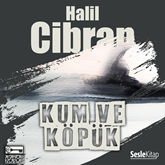 Sesli kitap Kum ve Köpük  - yazar Halil Cibran   - seslendiren Mehmet Atay