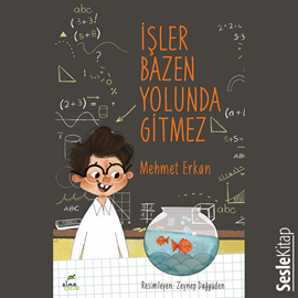 Sesli kitap İşler Bazen Yolunda Gitmez  - yazar Mehmet Erkan   - seslendiren Levent Şenbay