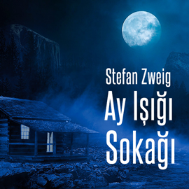 Sesli kitap Ay Işığı Sokağı  - yazar Stefan Zweig   - seslendiren Muhammer Arabacı