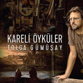 Sesli kitap Kareli Öyküler  - yazar Tolga Gümüşay   - seslendiren Yaşar Karakulak
