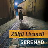 Sesli kitap Serenad  - yazar Zülfü Livaneli   - seslendiren Deniz Yüce Başarır